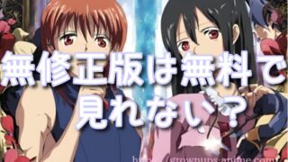 【2026年最新】『お見合い相手は教え子』無修正(プレミアム版・規制解除版)はどこで見れる？配信サブスク比較と無料視聴のコツ
