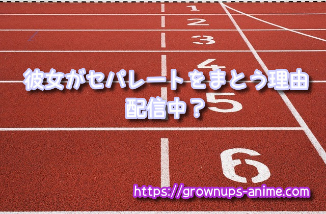 彼女がセパレートをまとう理由 無修正版