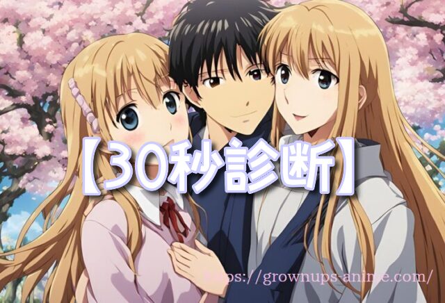 大人向けアニメ VOD