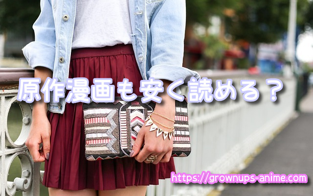 大人向けアニメ 月1000円以下