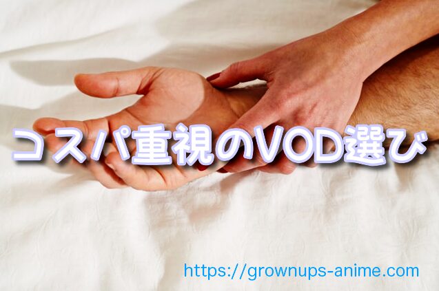 大人向けアニメ 月1000円以下