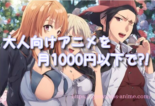 大人向けアニメ 月1000円以下